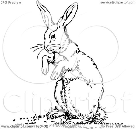 Clipart Of A Retro Vintage Black And White Rabbit Royalty Free Vector