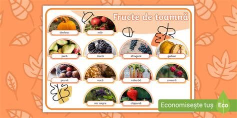 Fructe de toamnă – Planșă cu vocabular (Teacher-Made)