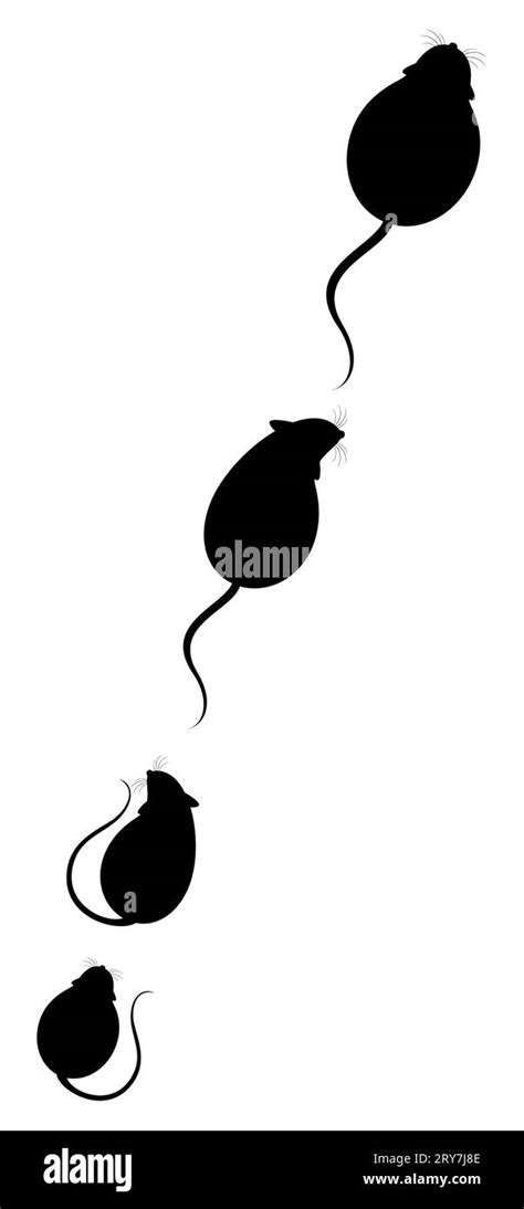 Lovely Fluffy Mice Stock Photo Alamy