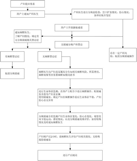 分娩镇痛一文掌握：产妇的评估、准备、开始时机及方法全解析