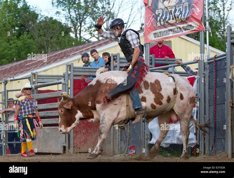 Cowboy riding a bull during a rodeo Stock Photo - Alamy