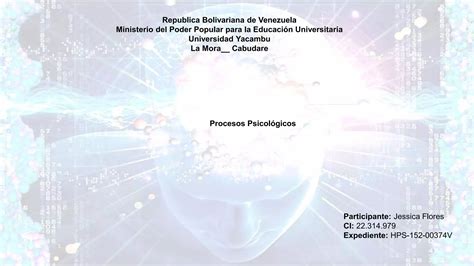 Procesos Psicologicos PPT