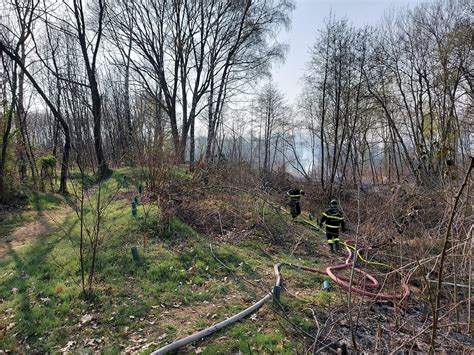 Incendio Nel Parco Delle Groane A Lentate I Pompieri In Azione VIDEO