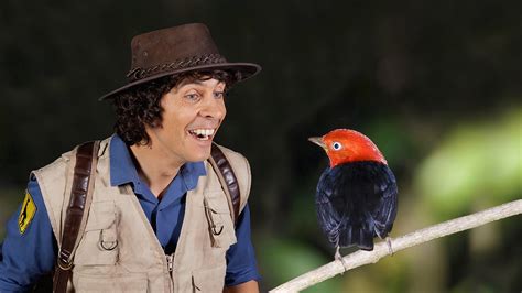 BBC IPlayer Andys Safari Adventures Series 1 32 Andy And The Manakin