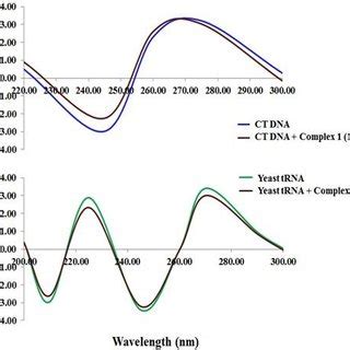 Cd Spectra Of A Ct Dna Alone And In The Absence And Presence Of