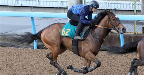 【今週の注目新馬】エリカエスティーム動き抜群 宮田調教師「素質を感じます」 サンスポzbat