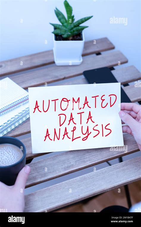 Text Caption Presenting Automated Data Analysis Business Idea