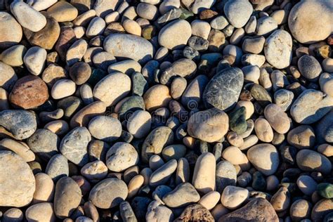 Smooth Round Pebbles Texture Background Pebble Sea Beach Close Up