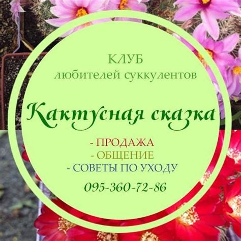 Кактусная сказка