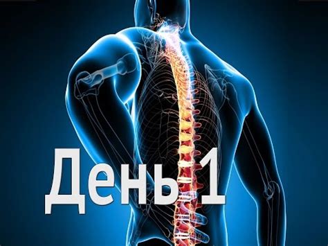 Оздоровительная программа "Здоровый позвоночник" - День 1 - YouTube