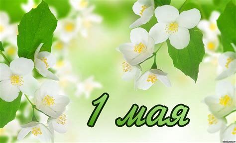 1 мая - Каталог - Айлаш - Гранат