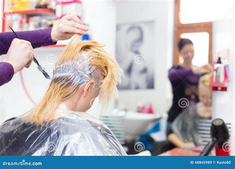 Hairdresser Salon Woman During Hair Dye Stock Photo Image 48845989