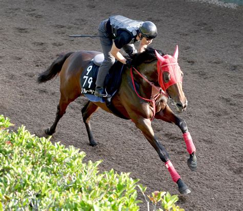 【レパードs】ブルーサンは坂路で軽快な動き 陣営「大人の体つきになってきた」今年7戦目も状態不安なし Umatoku 馬トク