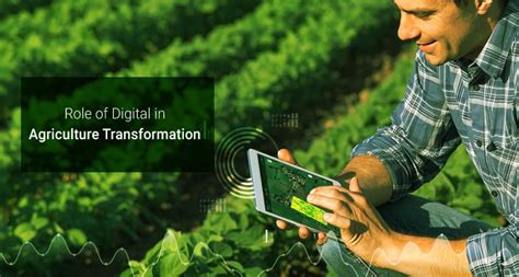 Digitalization In Agriculture For Agri Transformation