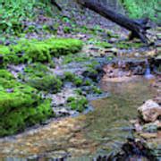 white pine stream photograph  bonfire photography fine art america