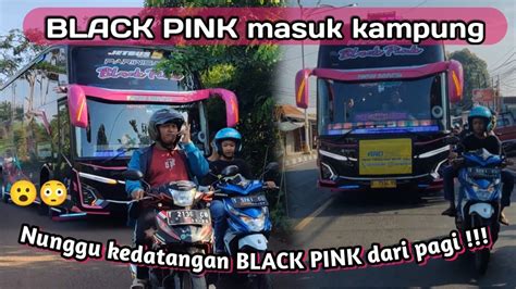 Telolet Basuri Terbaru Tunggal Jaya Black Pink Masuk Gang Sempit