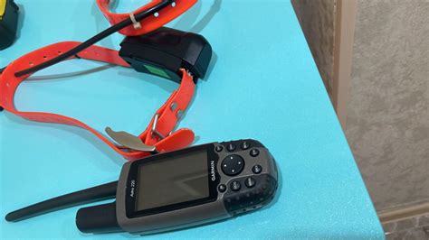 продам навигатор гармин астро 220 + 2 ошейника : Купля-продажа сре ...