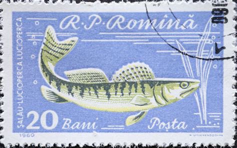 Romania Circa A Postage Stamp Printed In The Romania Showing