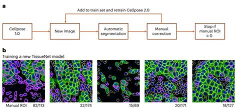 Cellpose