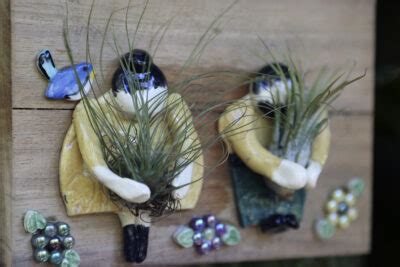 AIR-009 Air Plant Figure on Pallet - The Clay Club