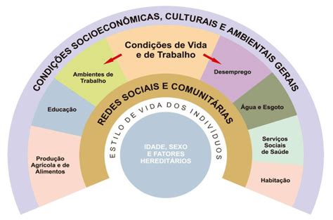 Modelo Dos Determinantes Sociais Em Saúde Download Scientific Diagram