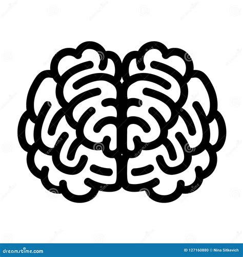 Icono Del Cerebro De La Parte Delantera Estilo Del Esquema Ilustración