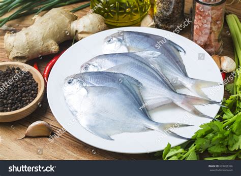 Pomfret Fishing Images Stock Photos Vectors Shutterstock