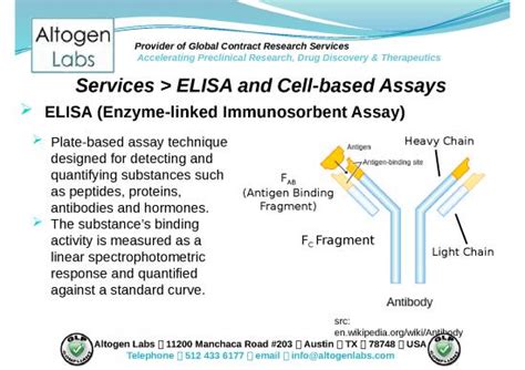 Activity Ppt 66692 Altogen Labs Elisa Service Cell Assay Development