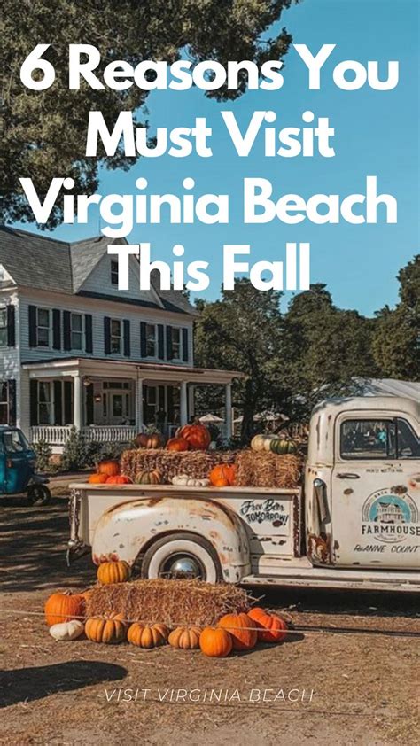 Reasons You Must Visit Virginia Beach This Fall Virginia Beach