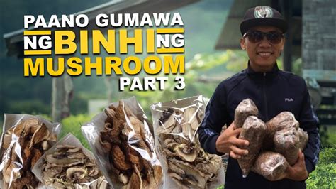 Part Paano Gumawa Ng Binhi Ng Mushroom Mushroom Seedlings Tamang