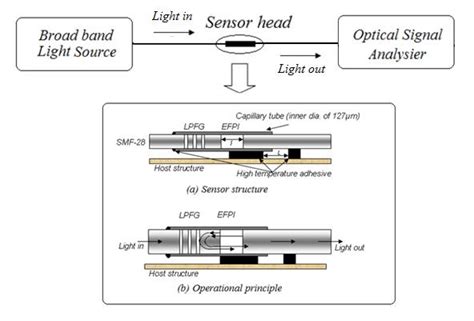 Schematic Of A Network System Based On Hybrid Fiber Optic Efpi Lpfg