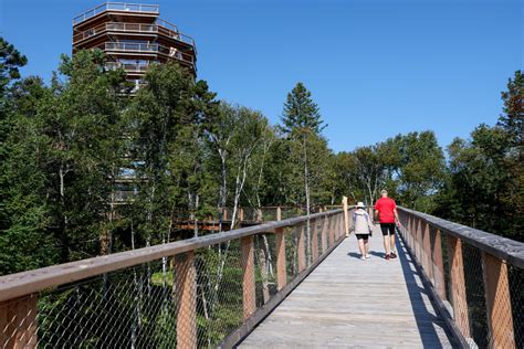 Sentier Des Cimes Au Dessus Des Arbres Sans Trop Deffort La Presse