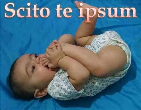 Bestiaria Latina Blog Latin Proverbs And Fables Round Up October 30