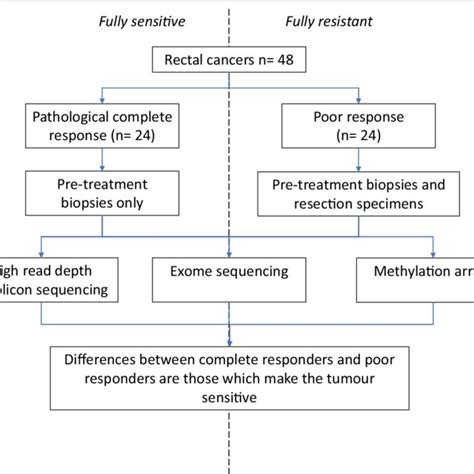 Abbreviations Pathcr Pathological Complete Response Dna