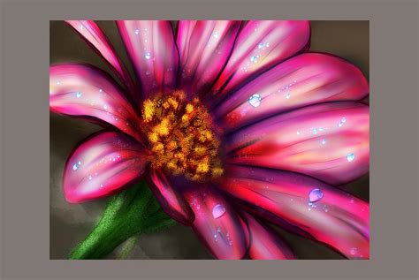 Daisy Digital Art By Kristin Mccord Fine Art America