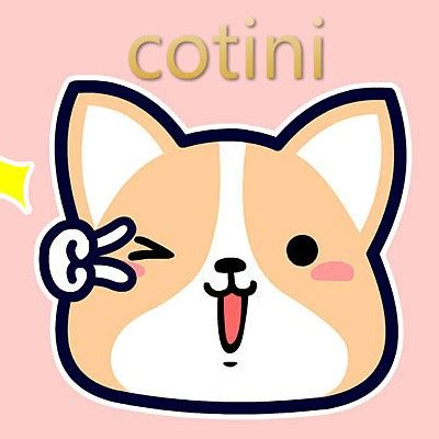 cotinith shopee thailand