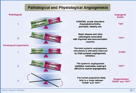 The Pathologic And Physiologic Angiogenic Balance It Is Speculated