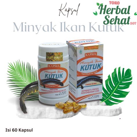 Jual Ikan Gabus Kutuk Ekstrak Albumin Herbal Tazakka Official Store 60