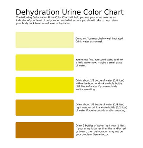 Dehydration Chart Based On Urine Color at Henry Lymburner blog