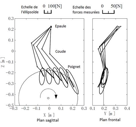 Repr Sentation De L Efb Et Des Forces Mesur E Au Niveau De La Main