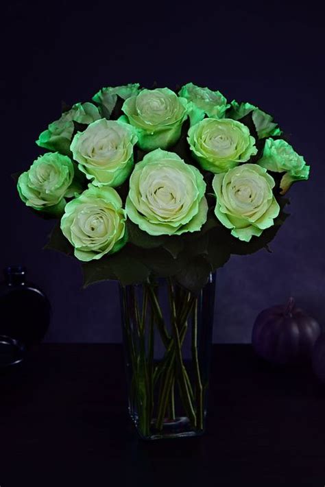 Spooky Glow In The Dark Roses Now Exist Halloween Flowers