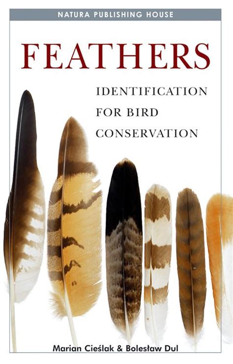 Feathers Identification For Bird Conservation Lynx Edicions Piume