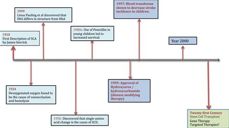 Sickle Cell Disease In The Older Adult Pathology