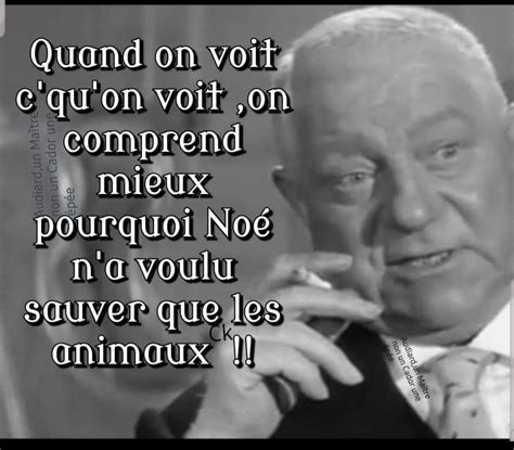 Pingl Par Bont Vi Sur Humour Audiard Citations Phrase