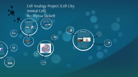 Cell Analogy Project (Cell City: Animal Cell) by Alyssa Tackett on Prezi