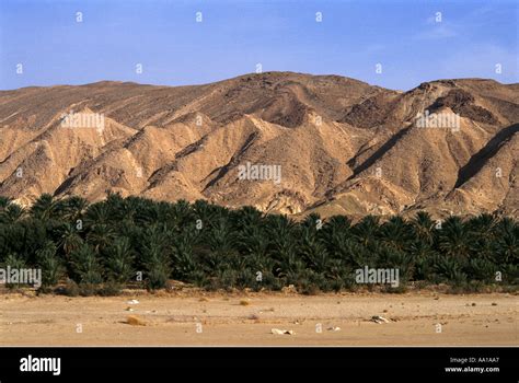 Tunisia Oasis Chebika Region Stock Photo - Alamy