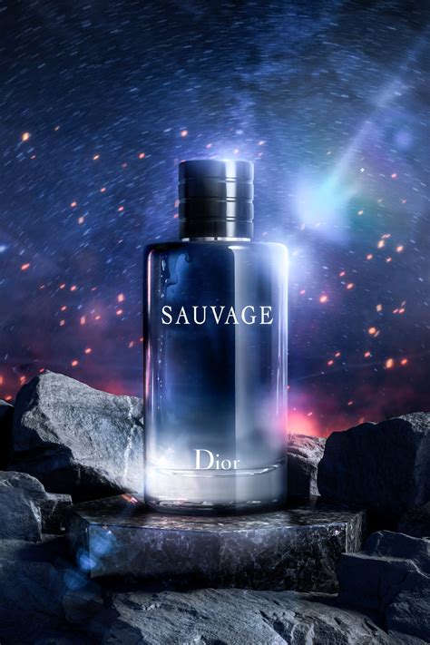 ArtStation - Dior Seuvage