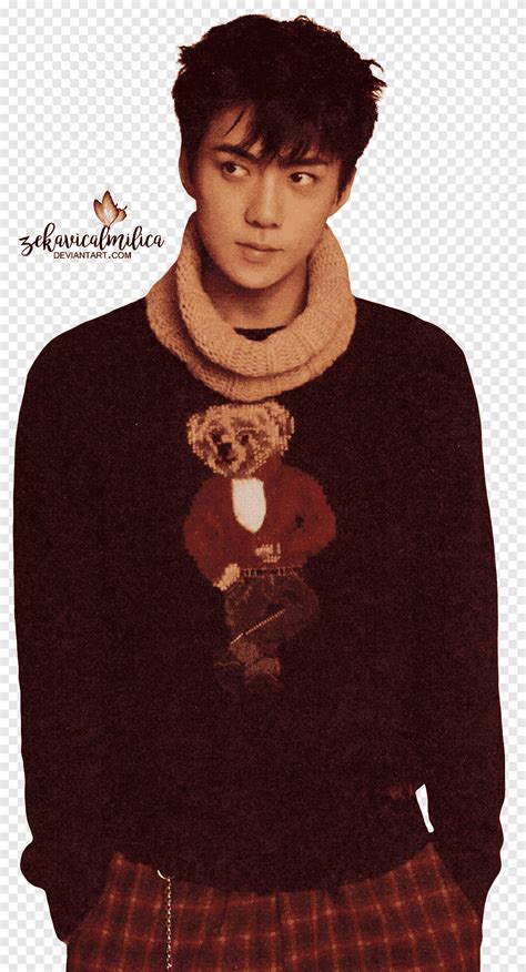 EXO Sehun 18 Season Greetings Man Wearing Black Polo Bear Sweater Png