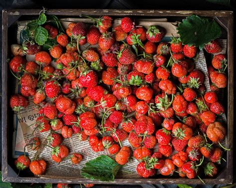 The Most Iconic Foods In California 2023