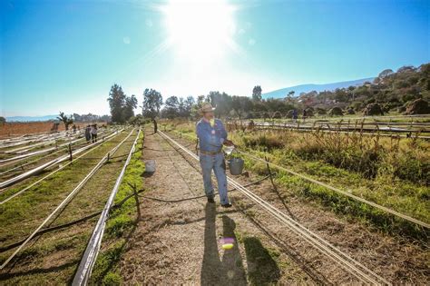 Le Migliori Cose Da Vedere A Tlajomulco De Zuniga